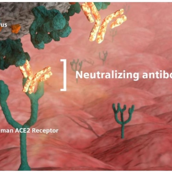 Covid-19 qNAT Neutralizing Antibody Quantitative (Numeric) Test
